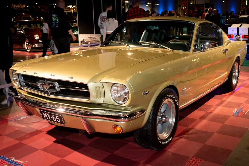 DSC_5479-2.jpg