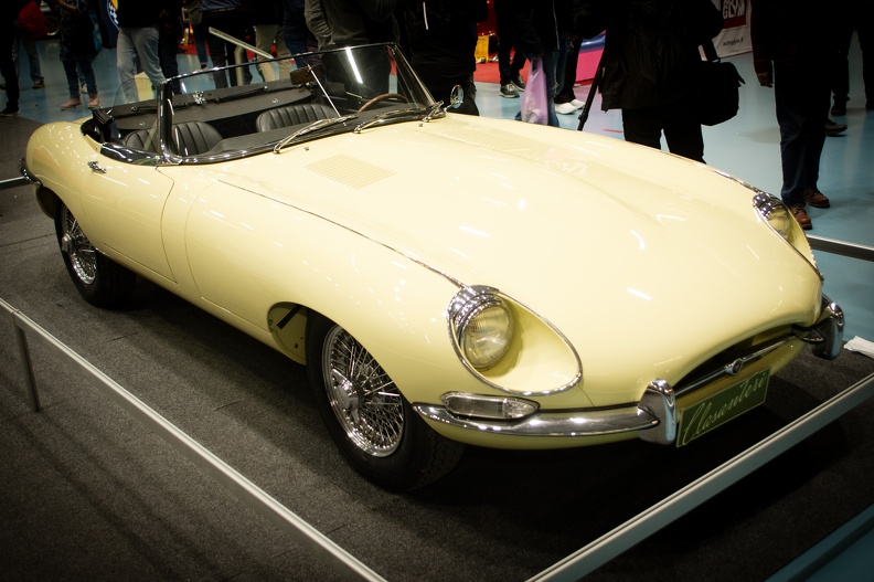 DSC_6301-2.jpg